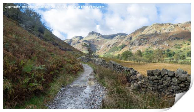 Langdale Pikes from the Cumbrian Way, Lake Distric Print by Steven Garratt