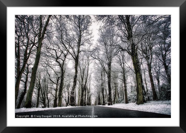 Winter Trees Framed Mounted Print by Craig Doogan