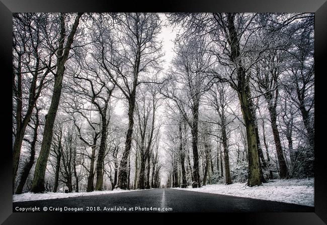 Winter Trees Framed Print by Craig Doogan