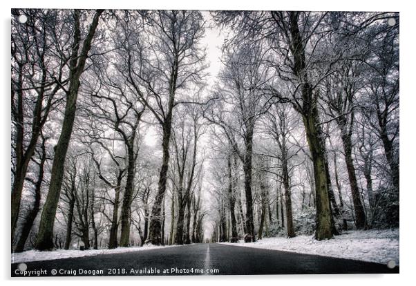 Winter Trees Acrylic by Craig Doogan