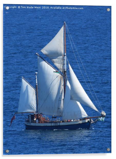 Gaff-Rigged Ketch Tectona sailing in Torbay Acrylic by Tom Wade-West