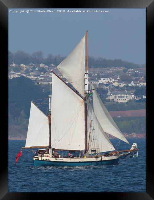 Gaff-Rigged Ketch Tectona sailing in Torbay Framed Print by Tom Wade-West