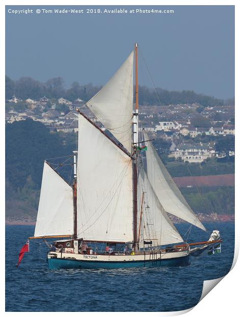 Gaff-Rigged Ketch Tectona sailing in Torbay Print by Tom Wade-West