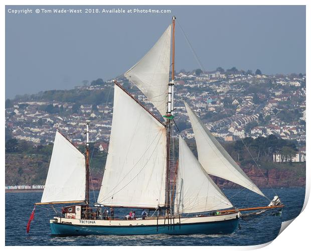 Gaff-Rigged Ketch Tectona sailing in Torbay Print by Tom Wade-West