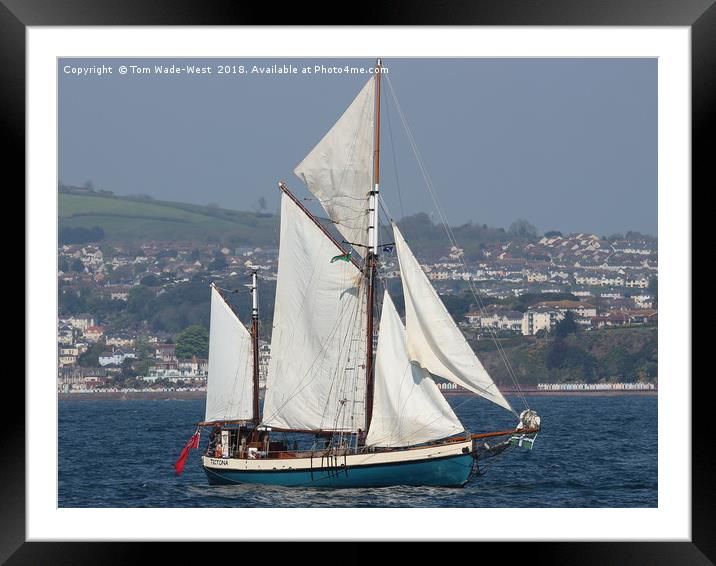 Gaff-Rigged Ketch Tectona sailing in Torbay Framed Mounted Print by Tom Wade-West
