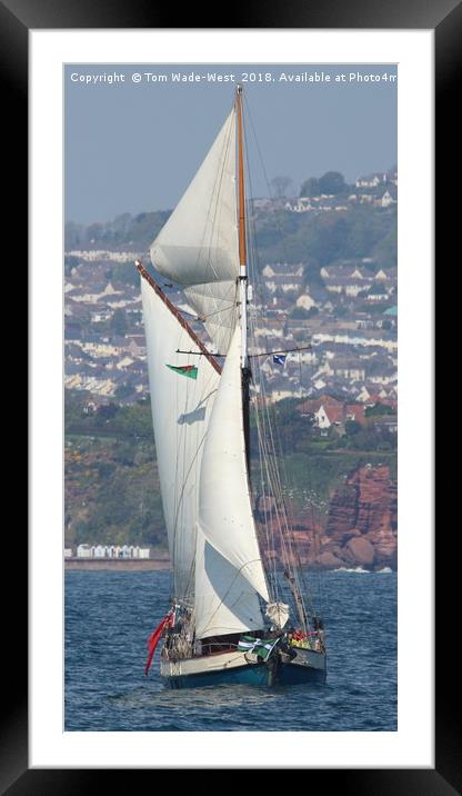 Gaff-Rigged Ketch Tectona sailing in Torbay Framed Mounted Print by Tom Wade-West