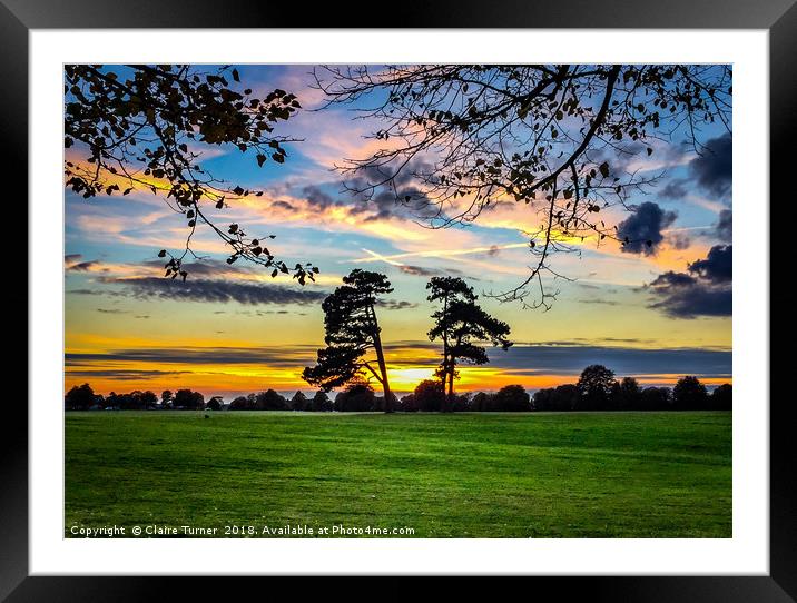 Sunset between trees Framed Mounted Print by Claire Turner