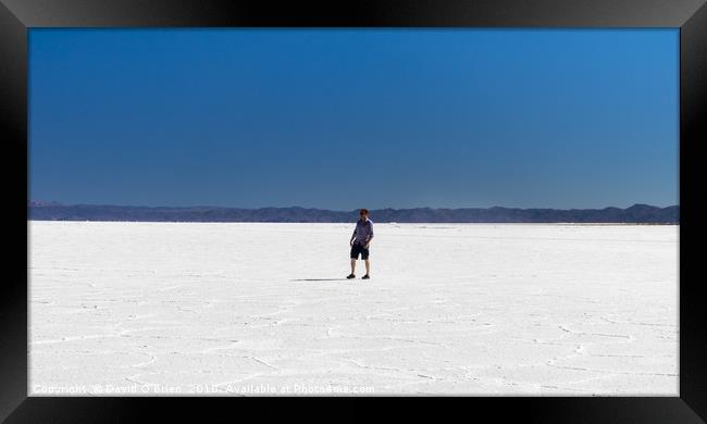 Salt Plains: Salinas Grandes, Argentina Framed Print by David O'Brien