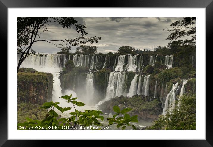 Iguazu Falls Framed Mounted Print by David O'Brien
