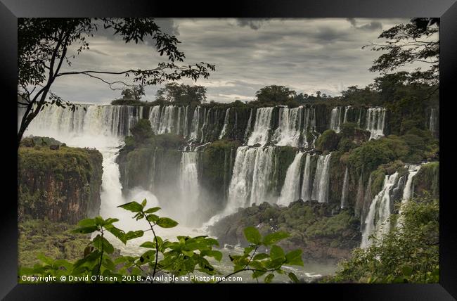 Iguazu Falls Framed Print by David O'Brien
