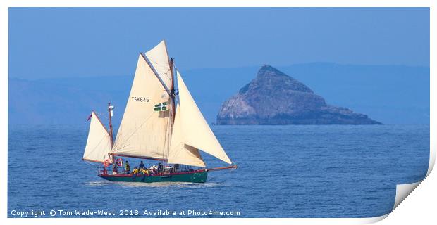 Moosk passing Thatcher Rock Print by Tom Wade-West