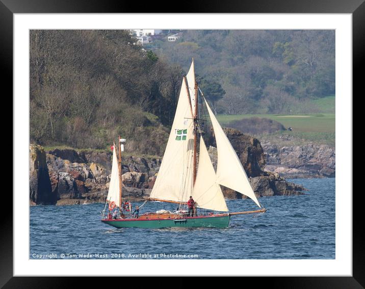 Moosk sailing from Fishcombe Cove, Brixham Framed Mounted Print by Tom Wade-West