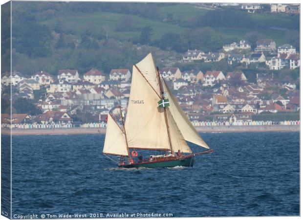Moosk sailing in Torbay Canvas Print by Tom Wade-West