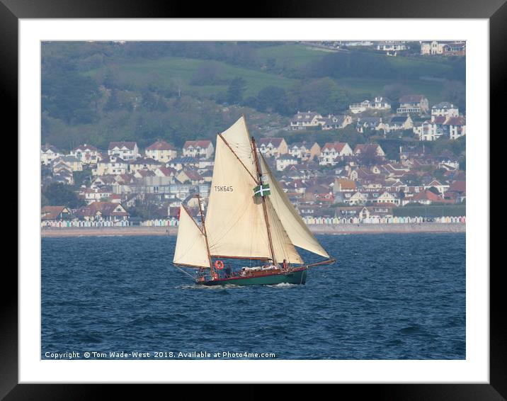 Moosk sailing in Torbay Framed Mounted Print by Tom Wade-West