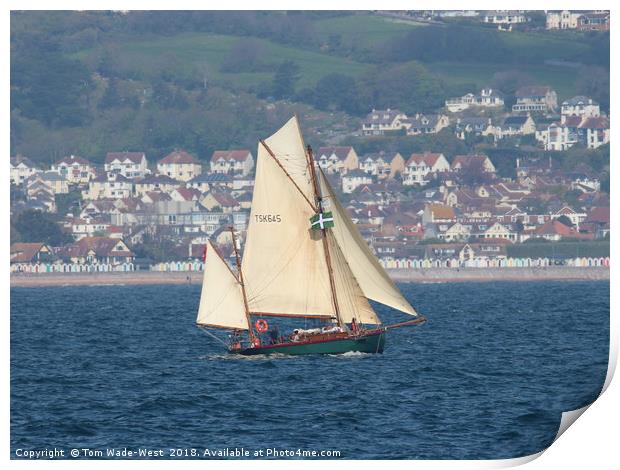 Moosk sailing in Torbay Print by Tom Wade-West