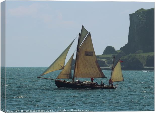 Moosk passing Berry Head Canvas Print by Tom Wade-West