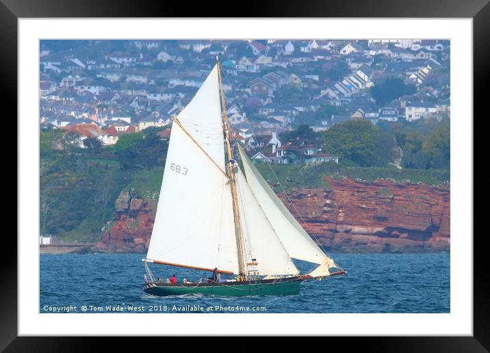 Pegasus sailing in Torbay Framed Mounted Print by Tom Wade-West