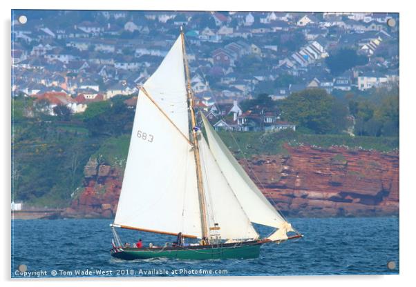 Pegasus sailing in Torbay Acrylic by Tom Wade-West
