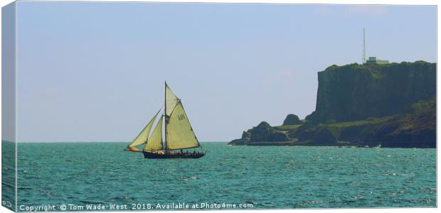 Pegasus passing Berry Head Canvas Print by Tom Wade-West