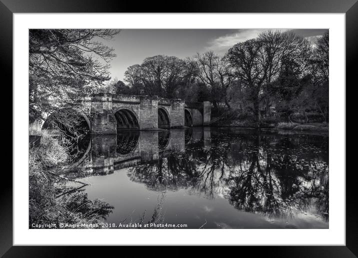 Sunderland Bridge Reflections Framed Mounted Print by Angie Morton