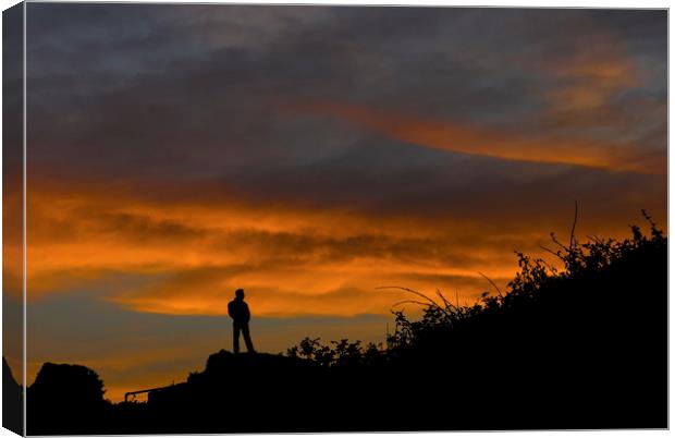 Contemplation At Sunrise Canvas Print by Steve Purnell