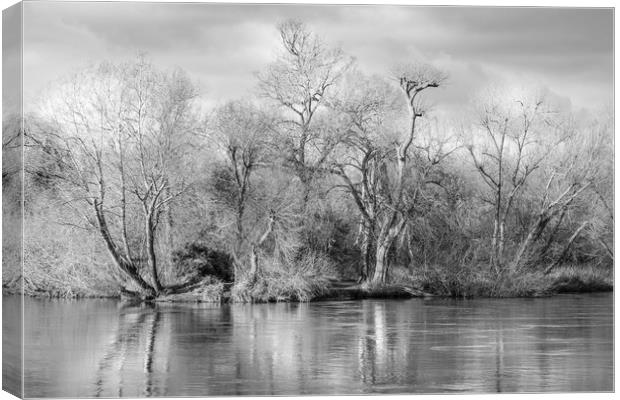 Trees and Water Canvas Print by LensLight Traveler