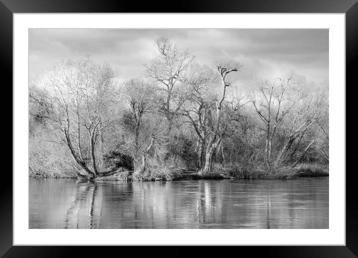Trees and Water Framed Mounted Print by LensLight Traveler