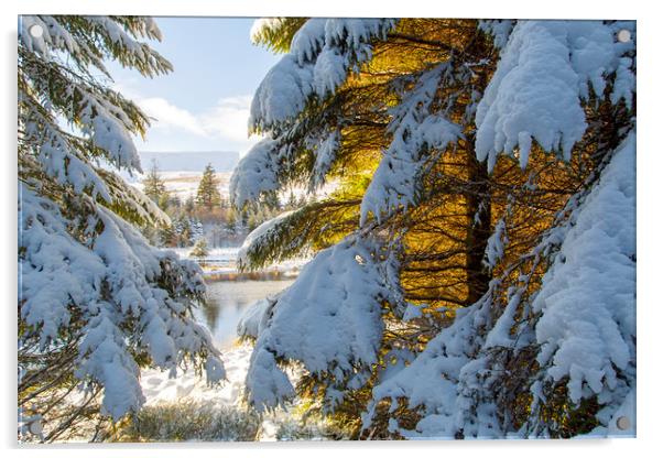 Winter Wonderland Snowscape  Acrylic by Jackie Davies