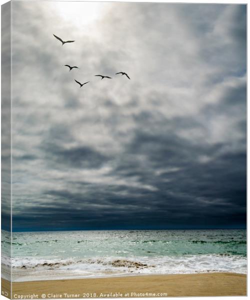 Formation flight over Marina beach  Canvas Print by Claire Turner