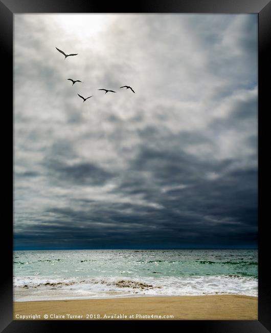 Formation flight over Marina beach  Framed Print by Claire Turner
