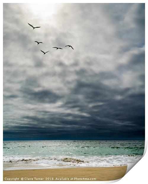 Formation flight over Marina beach  Print by Claire Turner