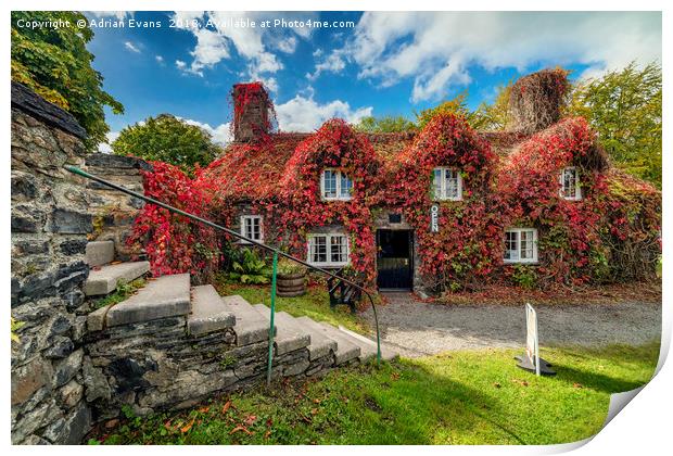 Llanrwst Tea Room Print by Adrian Evans