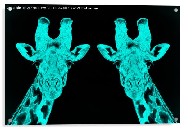 Giraffe Twins in Blue Acrylic by Dennis Platts
