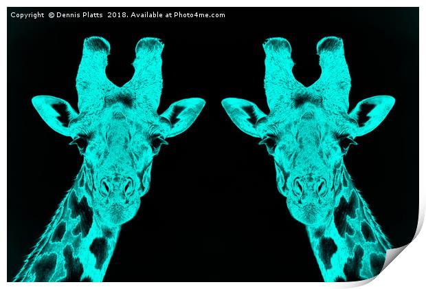 Giraffe Twins in Blue Print by Dennis Platts