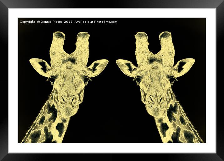 Giraffe Twins Gold Framed Mounted Print by Dennis Platts