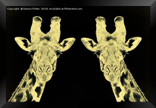 Giraffe Twins Gold Framed Print by Dennis Platts