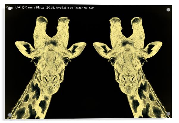 Giraffe Twins Gold Acrylic by Dennis Platts