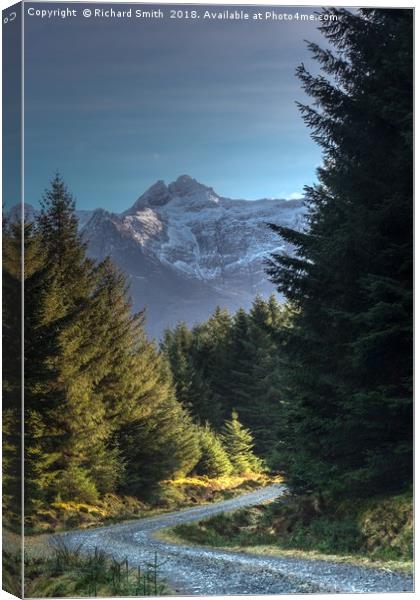 Walking the Bealach Brittle forest loop track #3 Canvas Print by Richard Smith