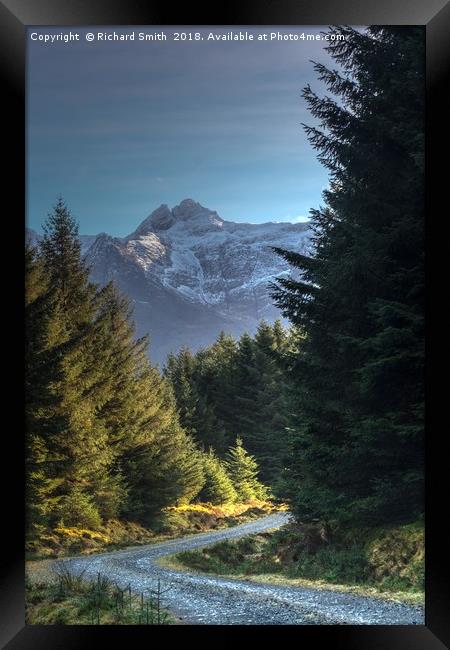 Walking the Bealach Brittle forest loop track #3 Framed Print by Richard Smith