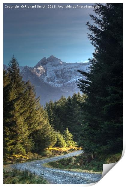 Walking the Bealach Brittle forest loop track #3 Print by Richard Smith