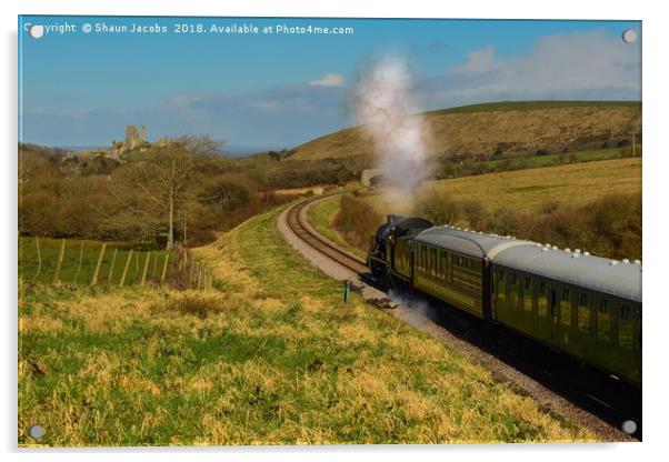 Swanage steam train  Acrylic by Shaun Jacobs