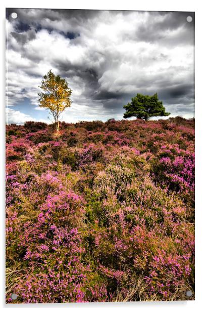 Dunwich Heath In Suffolk Acrylic by Darren Burroughs