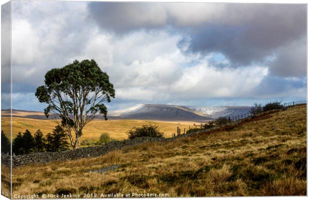 Eucalyptus Tree Central Brecon Beacons South Wales Canvas Print by Nick Jenkins