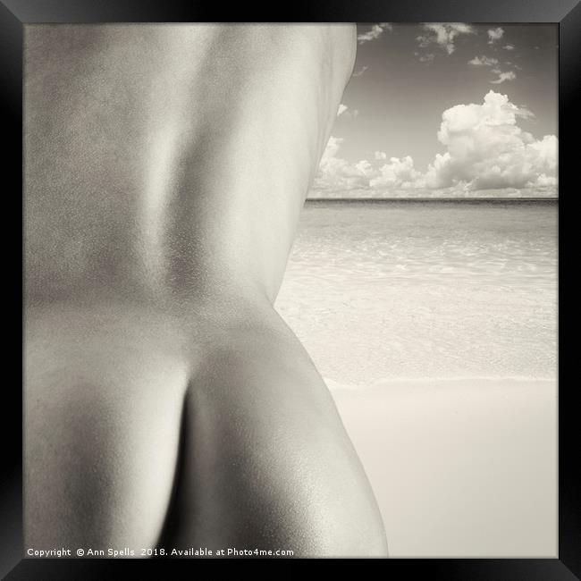 Nudist Beach Framed Print by Ann Spells