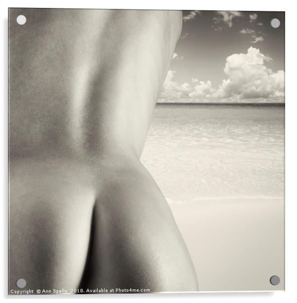 Nudist Beach Acrylic by Ann Spells