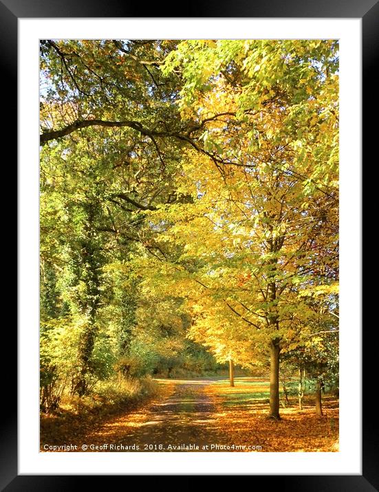 English Country Lane Framed Mounted Print by Geoff Richards