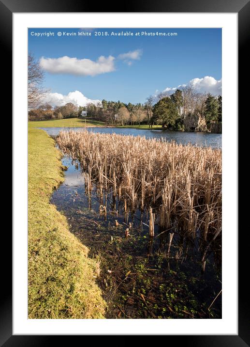 Springtime at the reed beds Framed Mounted Print by Kevin White