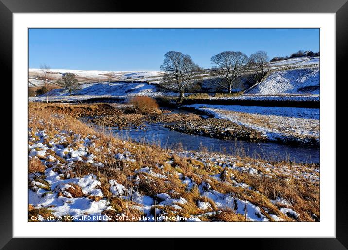 "Sunshine and snow 2 " Framed Mounted Print by ROS RIDLEY