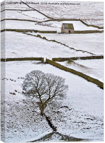 Weardale Winter Moorland Landscape Canvas Print by Martyn Arnold