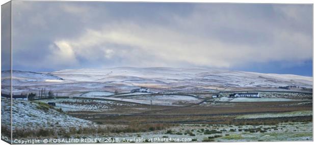 "Pastel Teesdale" Canvas Print by ROS RIDLEY